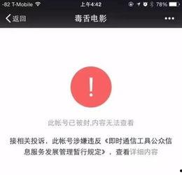 吃瓜公众号文件,带你走进娱乐圈的幕后故事